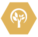 Tree icon