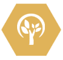 Tree icon